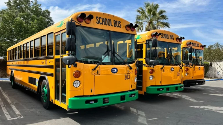 a z bus sales cng vehicles 2 1 768x432