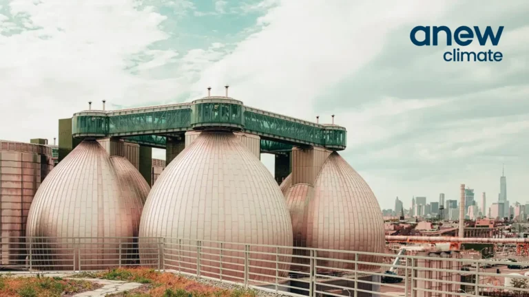 anew climate 1 768x432
