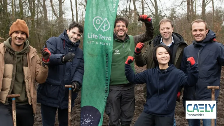 caely renewables us llc 1 768x432