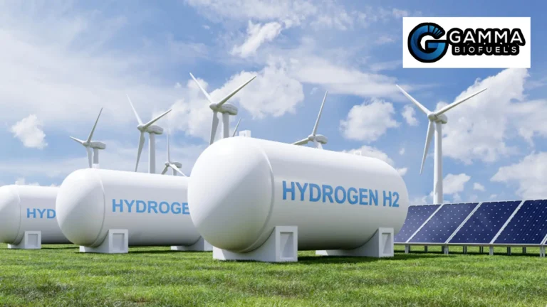 gamma biofuels llc 2 768x432