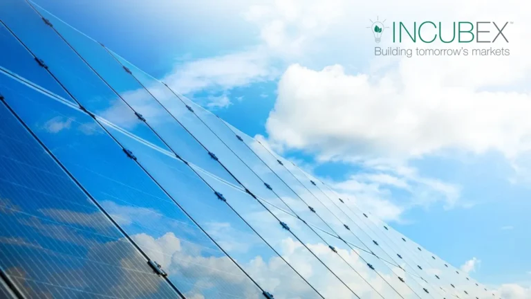 the incubex rin lcfs brokerage 2 768x432