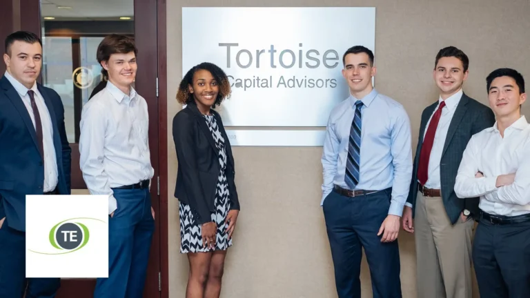 tortoiseecofin 1 768x432