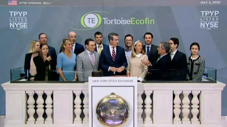 tortoiseecofin 2 768x432